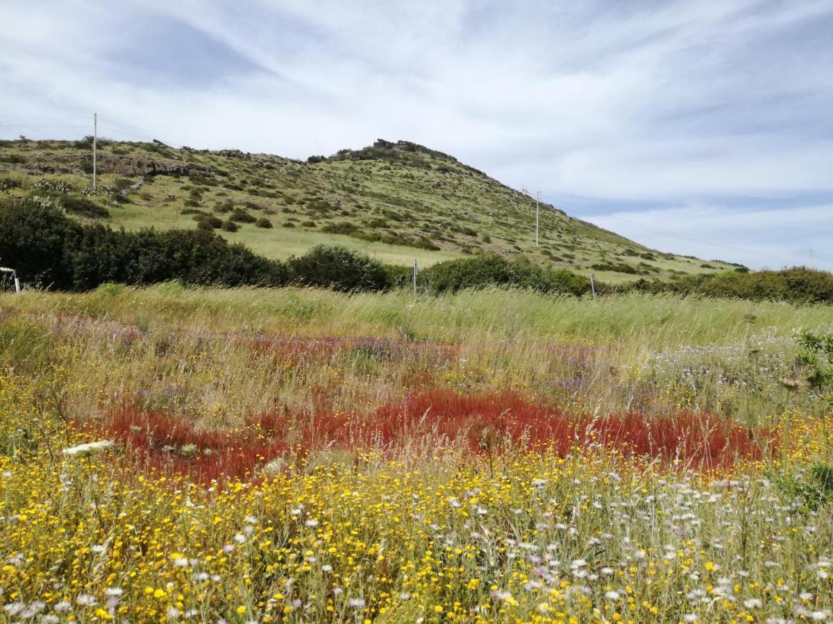 La Calla Bianca Torre dei Corsari Kültér fotó