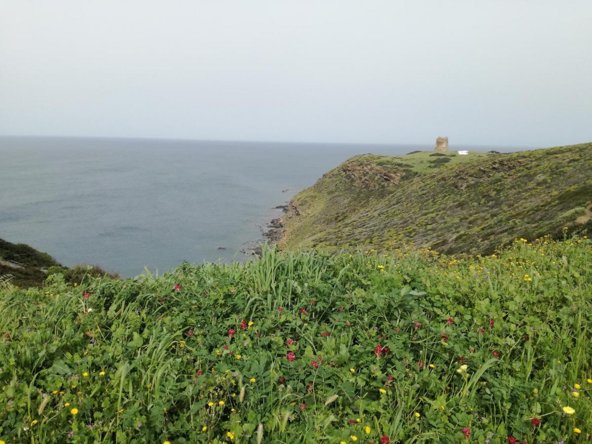 La Calla Bianca Torre dei Corsari Kültér fotó